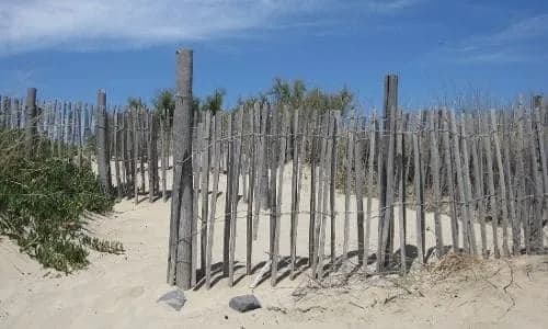 Camping Pedro — photo 4, Cap d'Agde