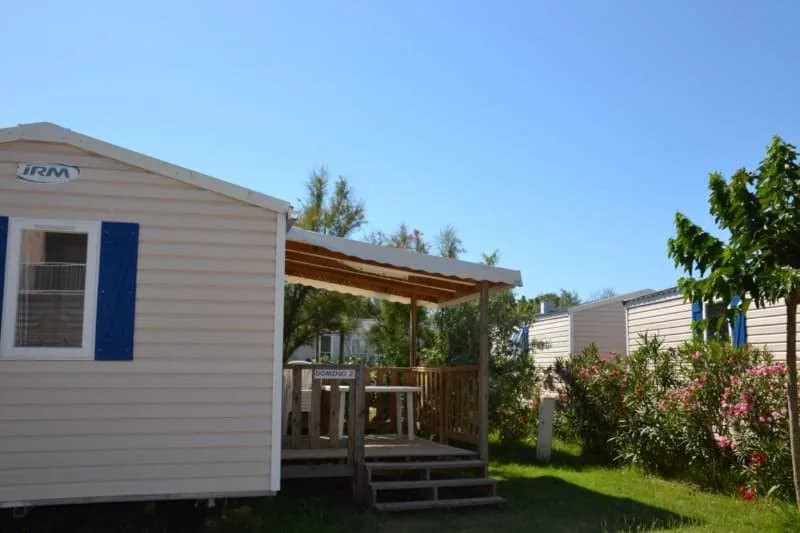 La Pépinière — photo 3, Cap d'Agde