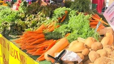 Étale de marché à Agde