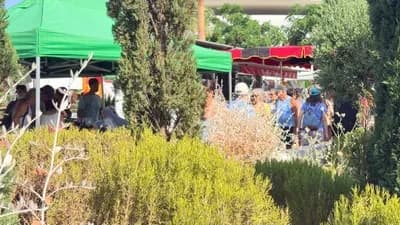 Jour de marché à Agde