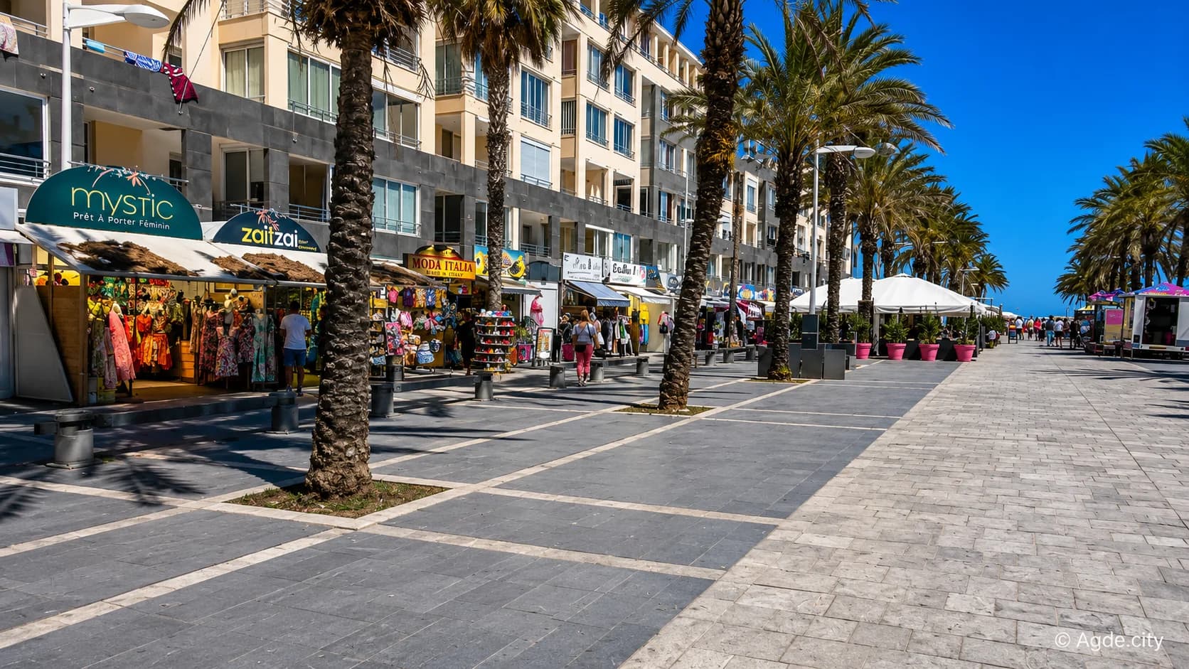 Promenade de Rochelongue et ses palmiers, au Cap d'Agde