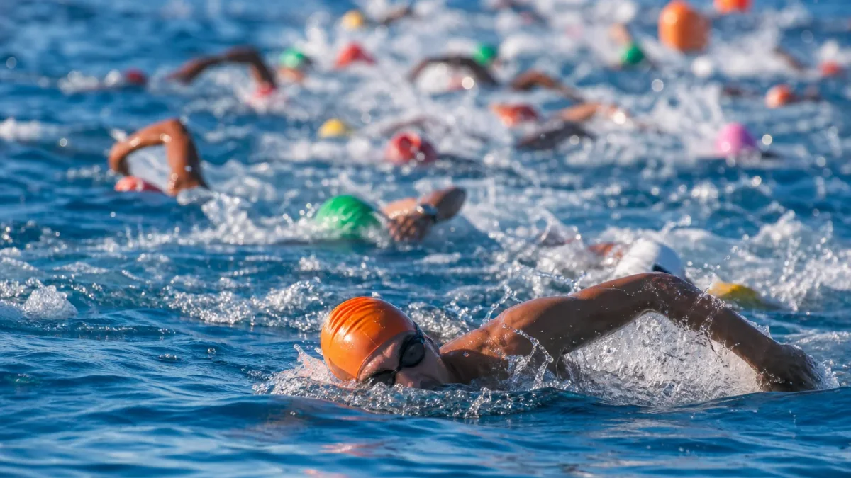 Nage en eau libre - Open Swim Stars