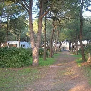 Les Pins