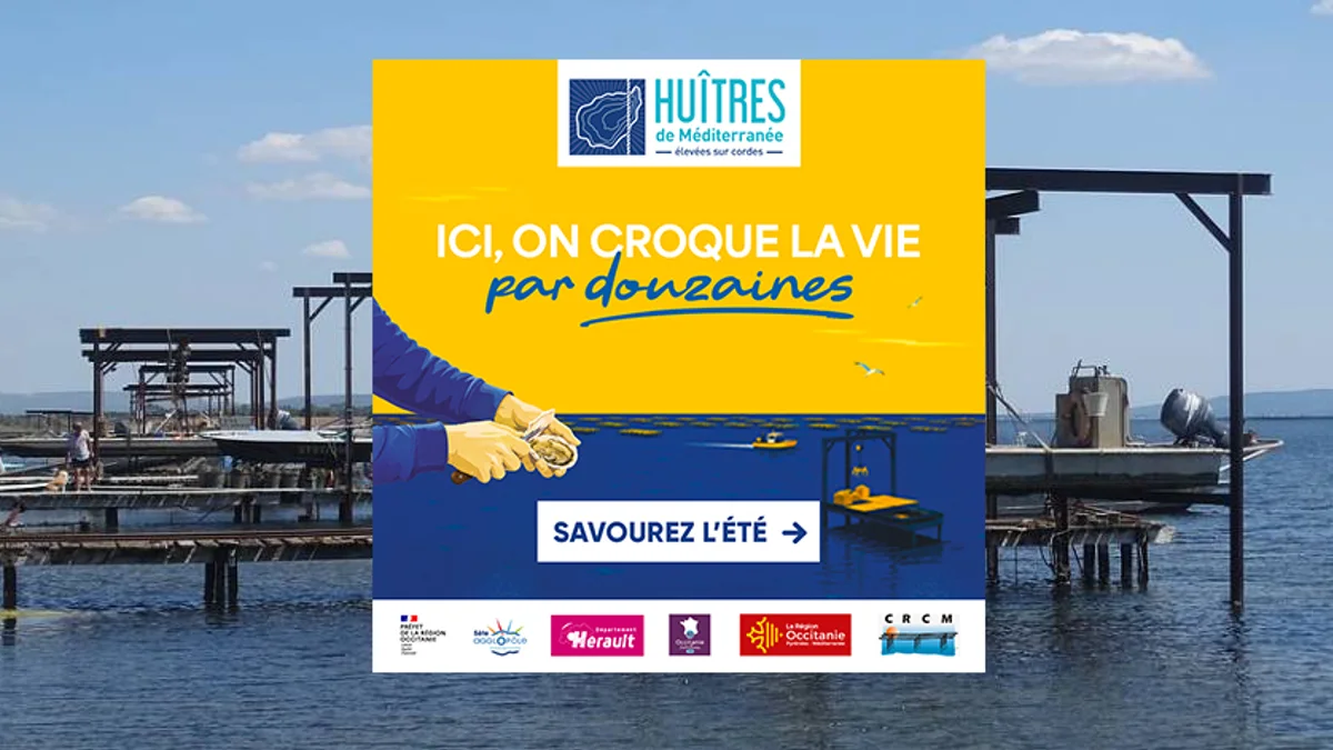 Occitanie - Les huîtres du Bassin de Thau à l'honneur dans une campagne de promotion régionale #occitanie