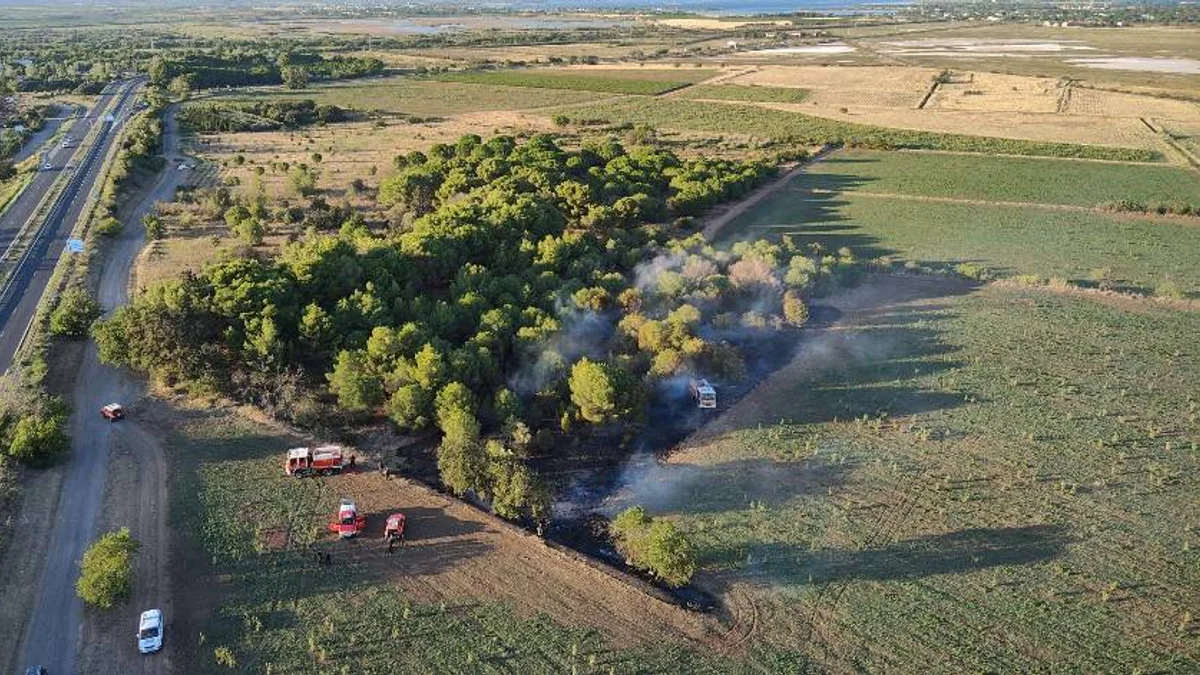 Hérault - Risque incendie très élevé, les pompiers appellent à la plus grande vigilance #herault
