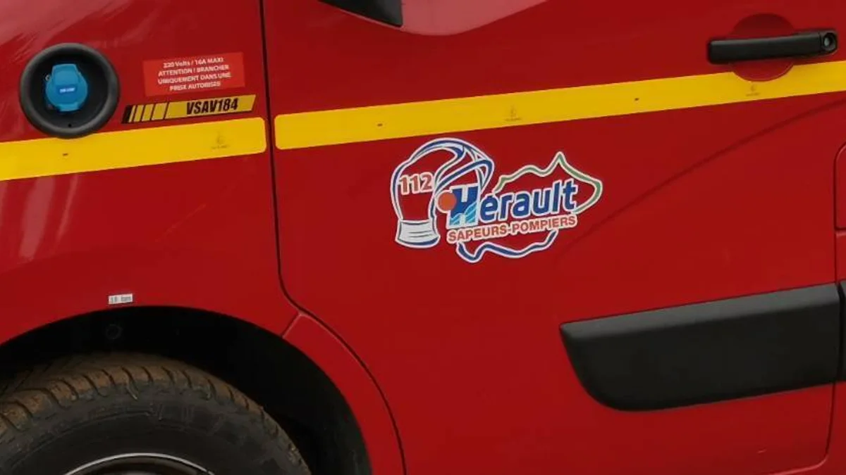 Agde - Incendie en bordure de voie SNCF à Agde : environ 3 hectares brûlés #agde
