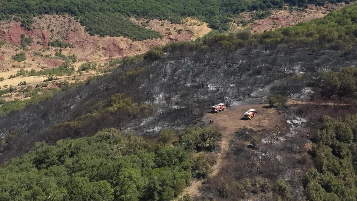 Hérault - Deux hommes interpellés dans le cadre d'une enquête sur des incendies volontaires #herault