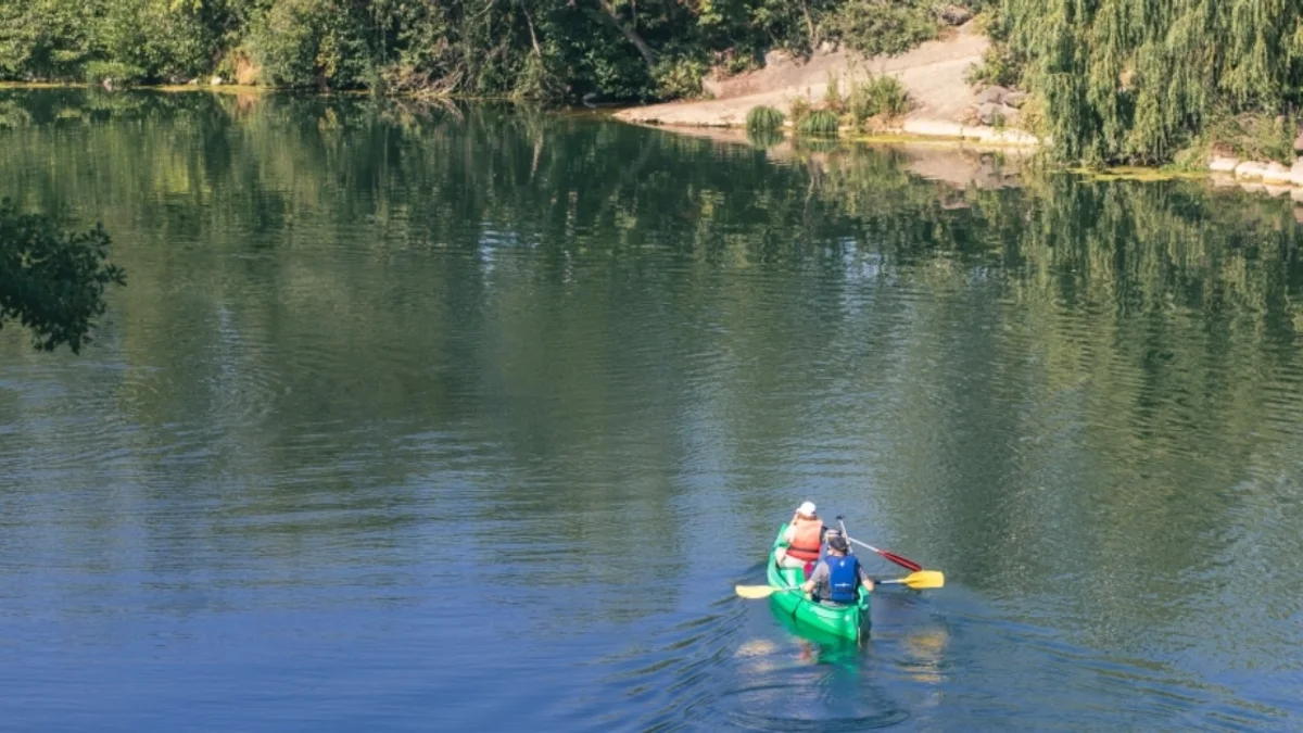 Bessan - A la découverte de la « petite Amazonie » ou les richesses cachées du fleuve Hérault #bessan