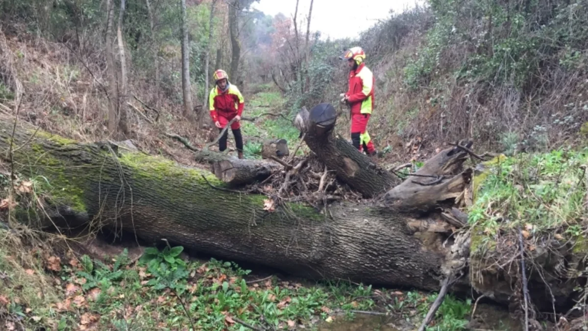 Bessan - Comment s'organise la gestion des cours d'eau dans les traversées urbaines #bessan